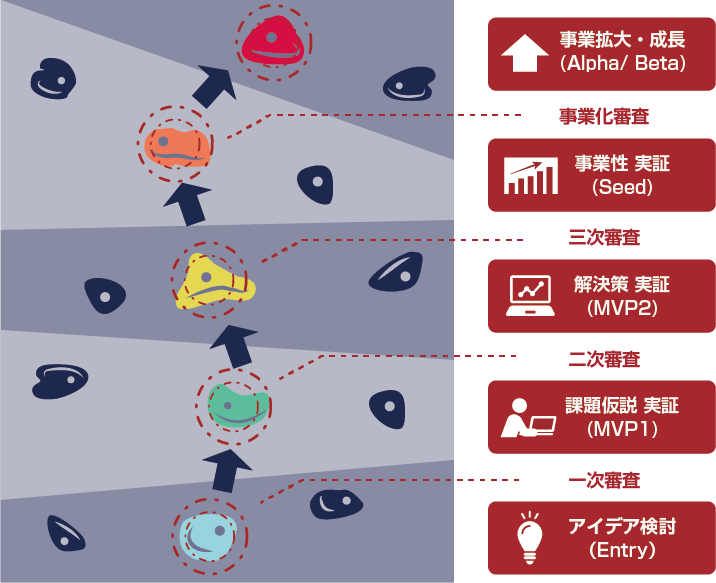 検証ステップのイメージ